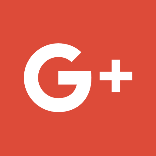 CARIBBEAN NETWORK GROUP NV LLC Google